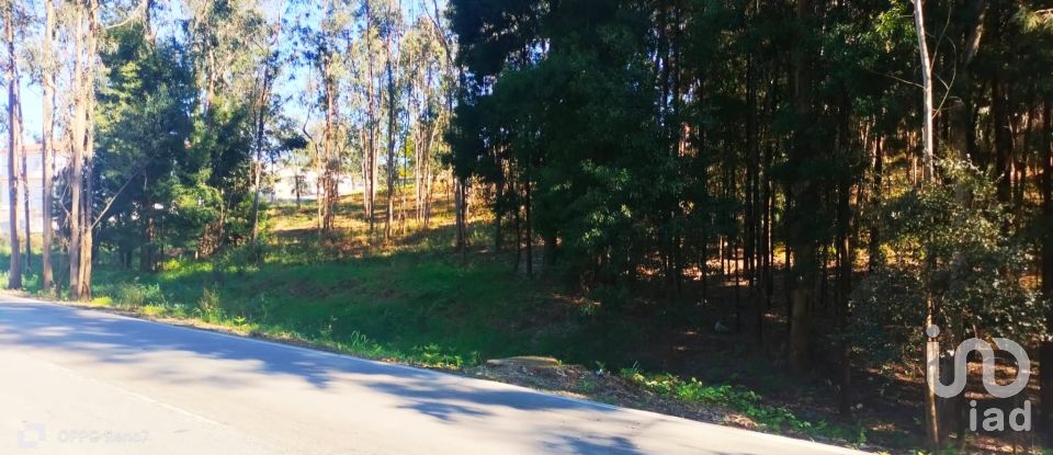 Terreno urbano em Fonte Arcada de 4 368 m²