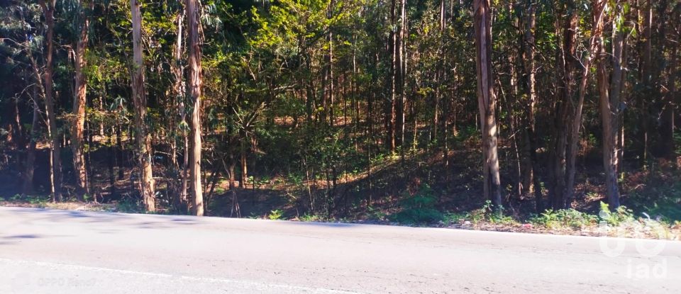 Terreno urbano em Fonte Arcada de 4 368 m²