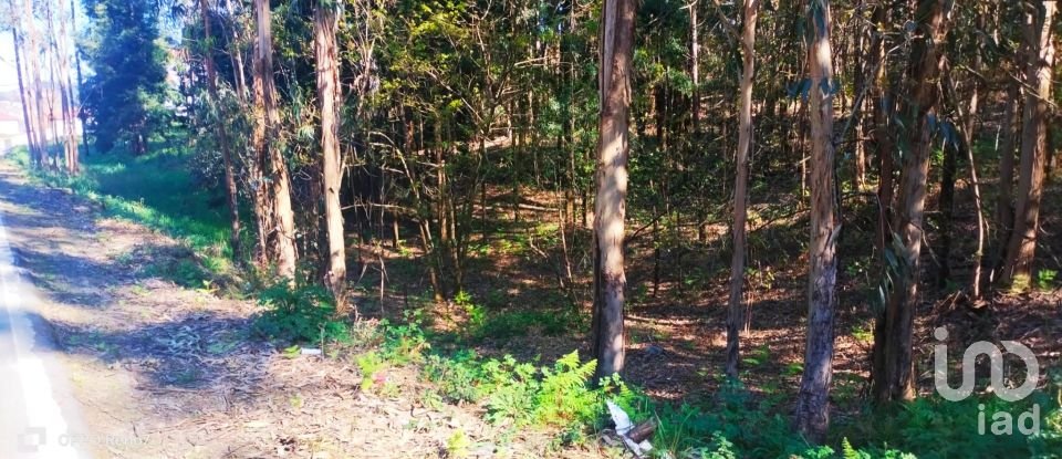 Terreno urbano em Fonte Arcada de 4 368 m²