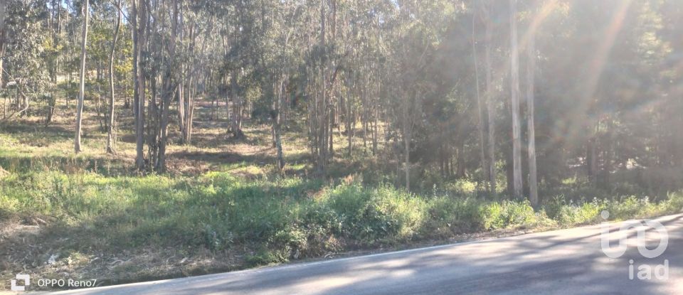 Terreno urbano em Fonte Arcada de 4 368 m²