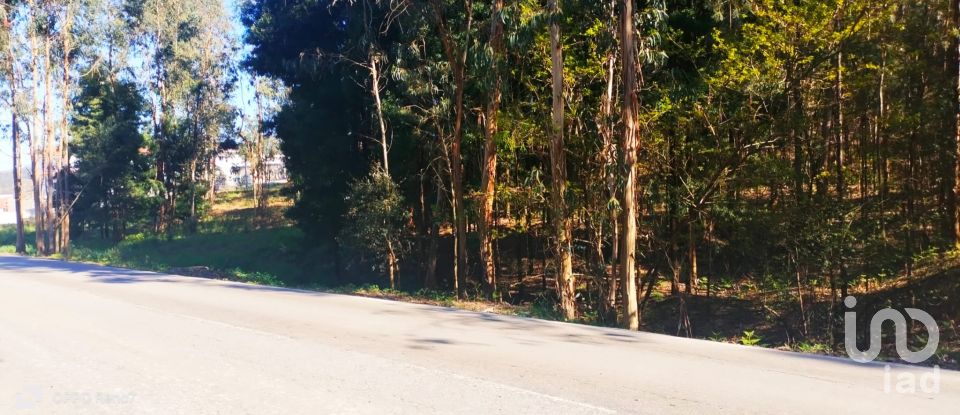 Terreno urbano em Fonte Arcada de 4 368 m²