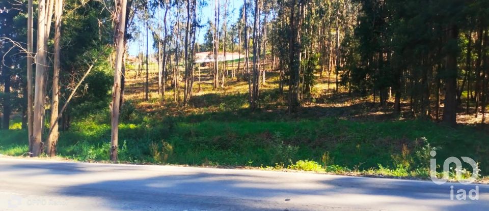 Terreno urbano em Fonte Arcada de 4 368 m²