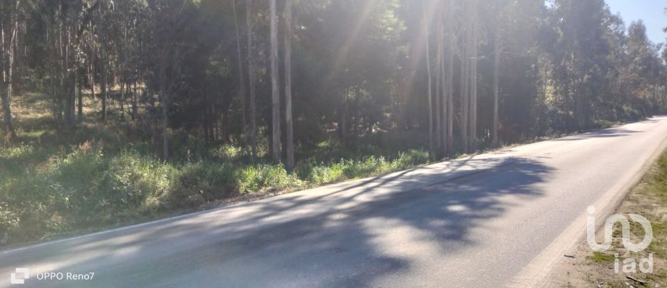 Terreno urbano em Fonte Arcada de 4 368 m²