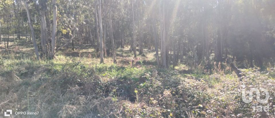 Terreno urbano em Fonte Arcada de 4 368 m²