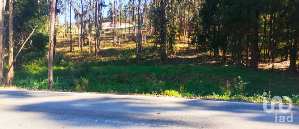 Terreno urbano em Fonte Arcada de 4 368 m²