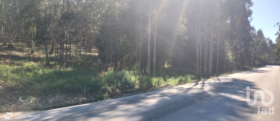 Terreno urbano em Fonte Arcada de 4 368 m²