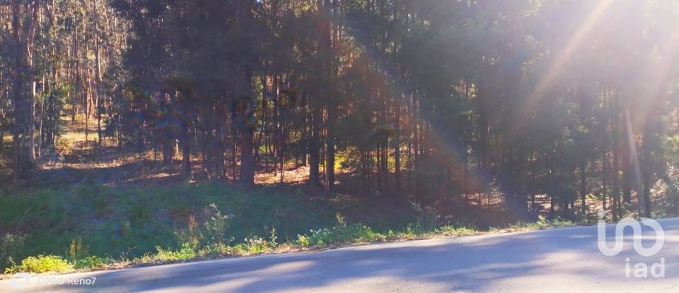 Terreno urbano em Fonte Arcada de 4 368 m²