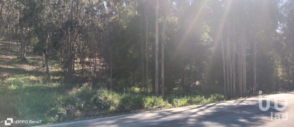 Terreno urbano em Fonte Arcada de 4 368 m²