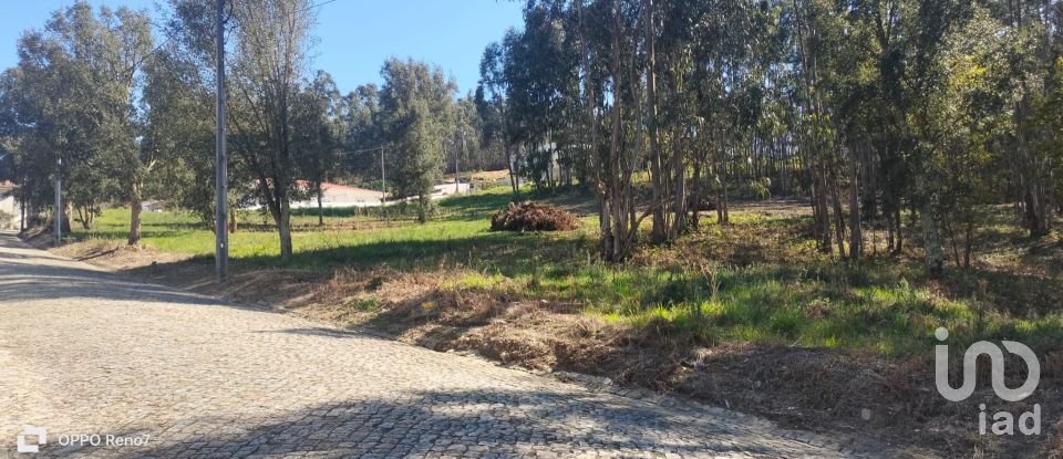 Terreno urbano em Fonte Arcada de 4 368 m²