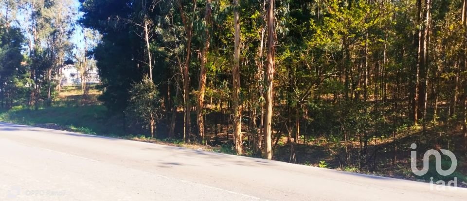 Terreno urbano em Fonte Arcada de 4 368 m²