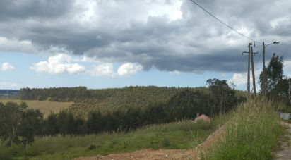 Terrain à bâtir à Cadaval e Pêro Moniz de 500 m²