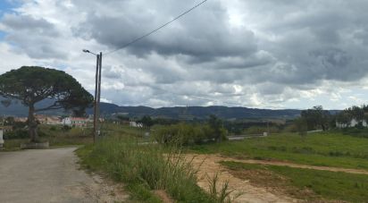 Terrain à bâtir à Cadaval e Pêro Moniz de 500 m²
