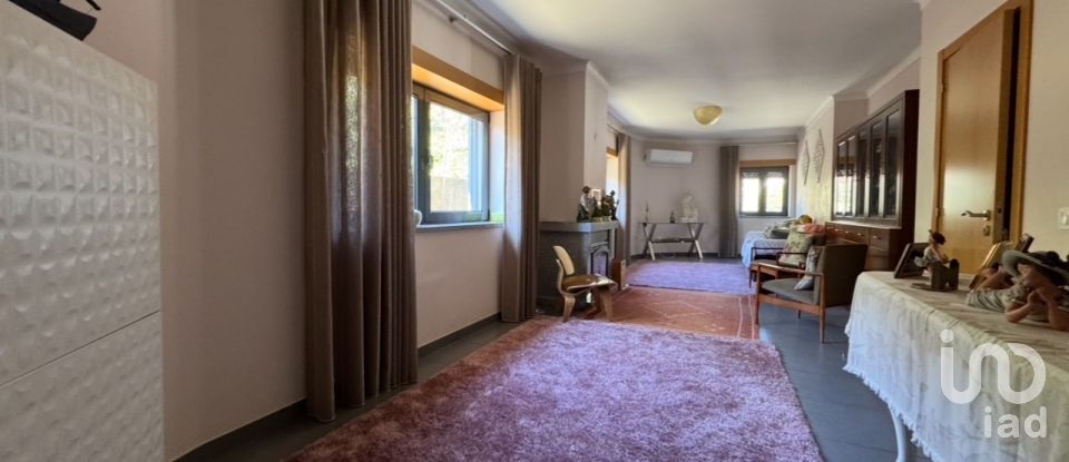 Village house T4 in Troviscal of 359 m²