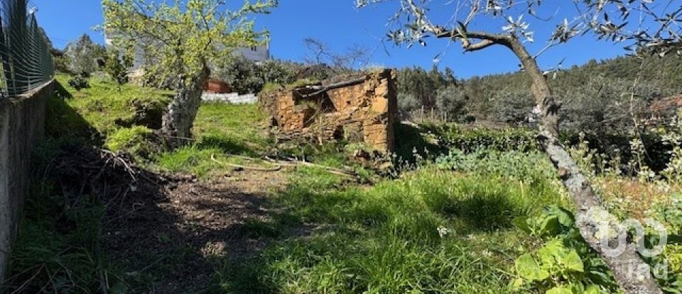 Village house T4 in Troviscal of 359 m²