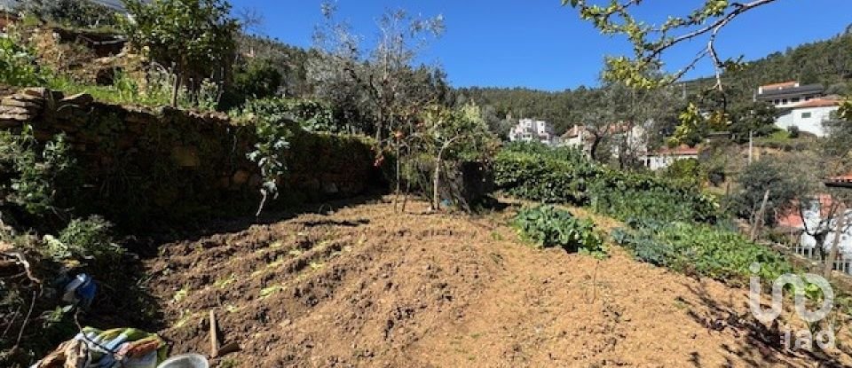 Village house T4 in Troviscal of 359 m²