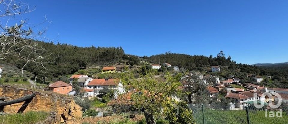 Village house T4 in Troviscal of 359 m²