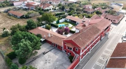 House T10 in Louriçal of 1,000 m²