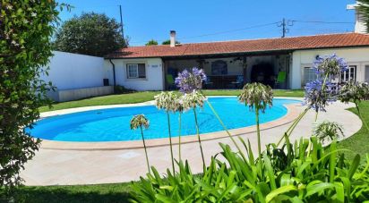 House T10 in Louriçal of 1,000 m²