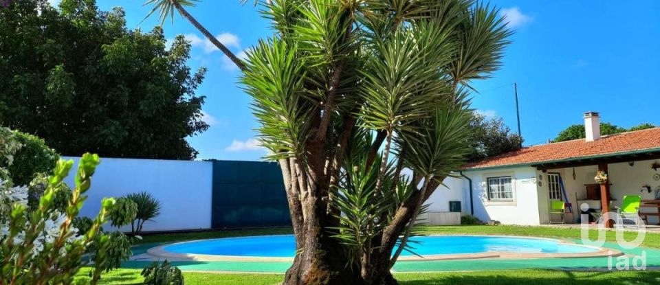 House T10 in Louriçal of 1,000 m²