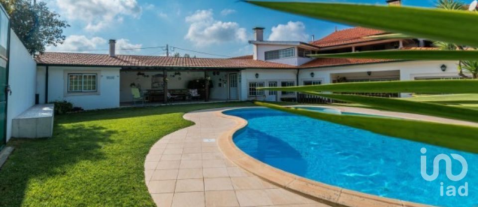 House T10 in Louriçal of 1,000 m²