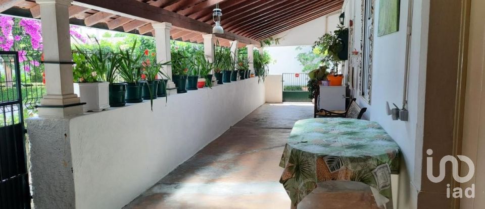 House T10 in Louriçal of 1,000 m²