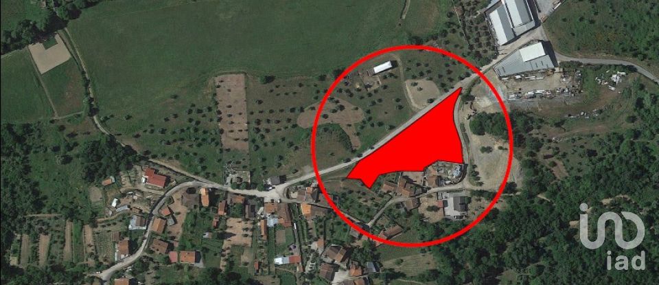 Terreno em Arganil de 2 700 m²