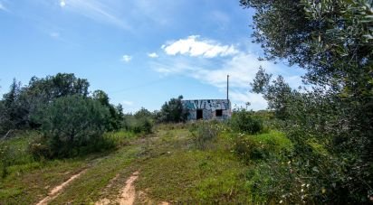 Building plot in Almancil of 23,750 m²