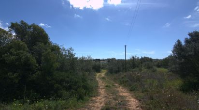 Building plot in Almancil of 23,750 m²