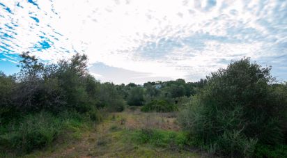 Building plot in Almancil of 23,750 m²