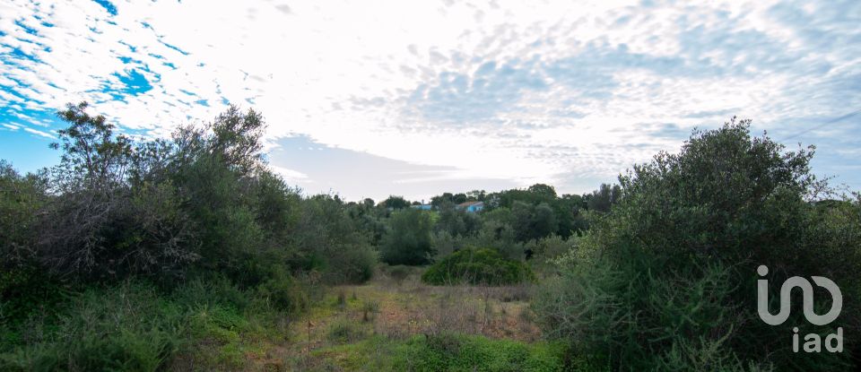 Terreno urbano em Almancil de 23 750 m²