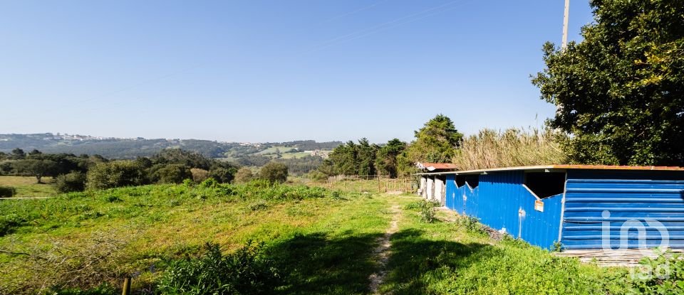 Quinta T4 em Salir de Matos de 483 m²