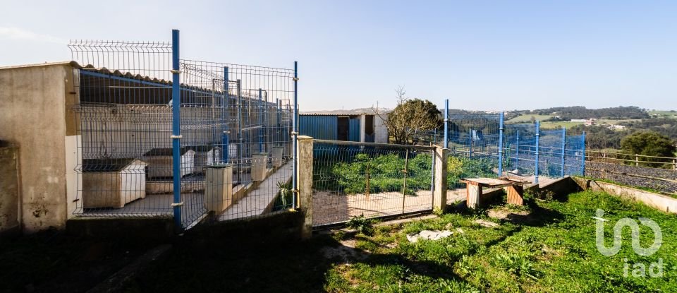 Quinta T4 em Salir de Matos de 483 m²