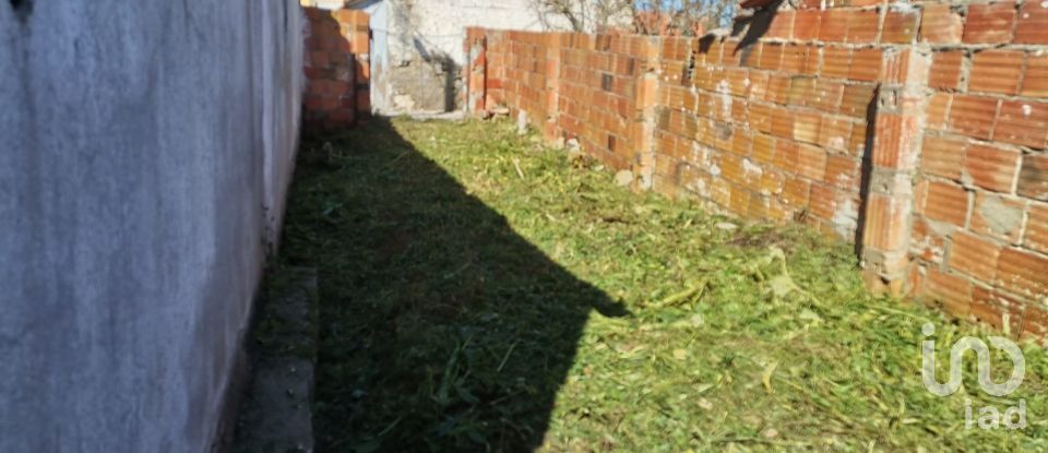 Maison T3 à São Pedro da Cadeira de 117 m²