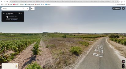 Terrain à Alpiarça de 12 400 m²