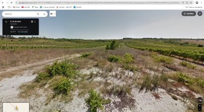 Terrain à Alpiarça de 12 400 m²