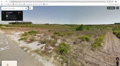 Terrain à Alpiarça de 12 400 m²