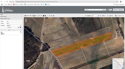 Terrain à Alpiarça de 12 400 m²