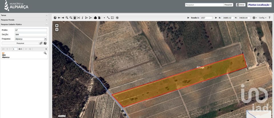 Terrain à Alpiarça de 12 400 m²