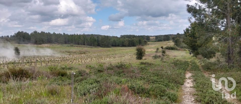 Terrain à Alpiarça de 12 400 m²