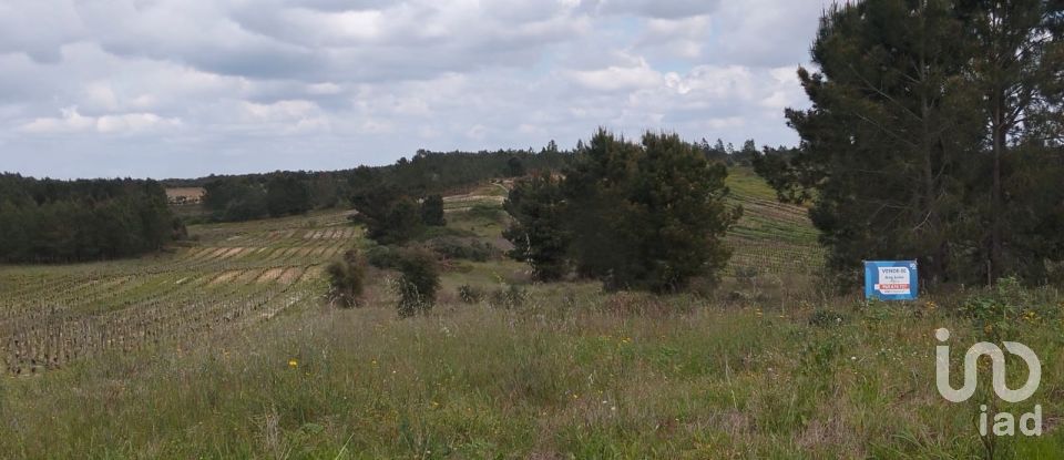 Terrain à Alpiarça de 12 400 m²