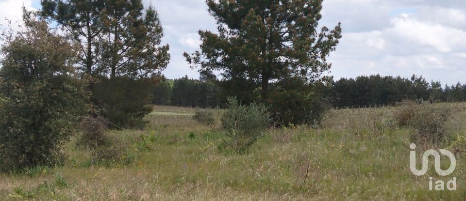 Terrain à Alpiarça de 12 400 m²