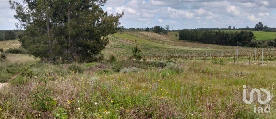 Terrain à Alpiarça de 12 400 m²