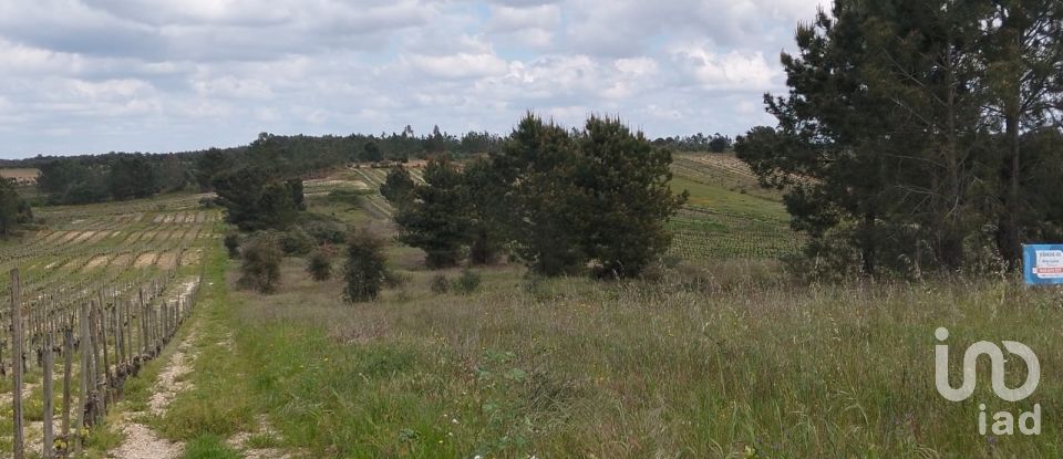 Terrain à Alpiarça de 12 400 m²