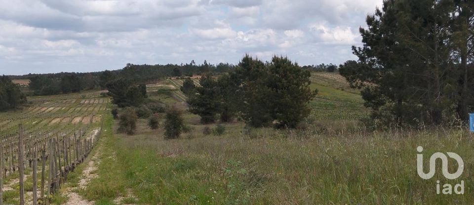 Terrain à Alpiarça de 12 400 m²