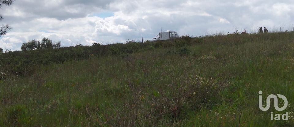 Terrain à Alpiarça de 12 400 m²