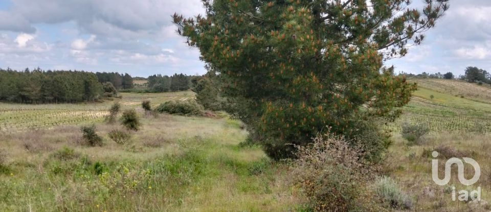 Terrain à Alpiarça de 12 400 m²