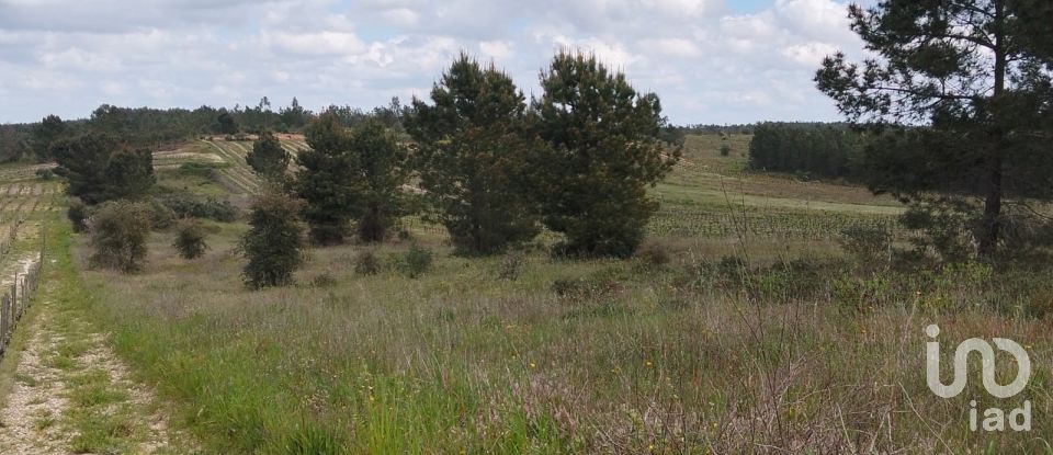 Terrain à Alpiarça de 12 400 m²
