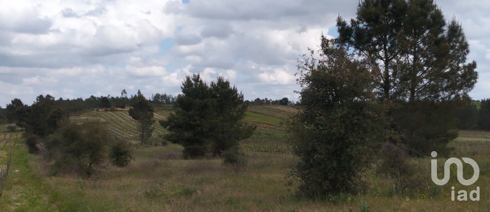 Terrain à Alpiarça de 12 400 m²