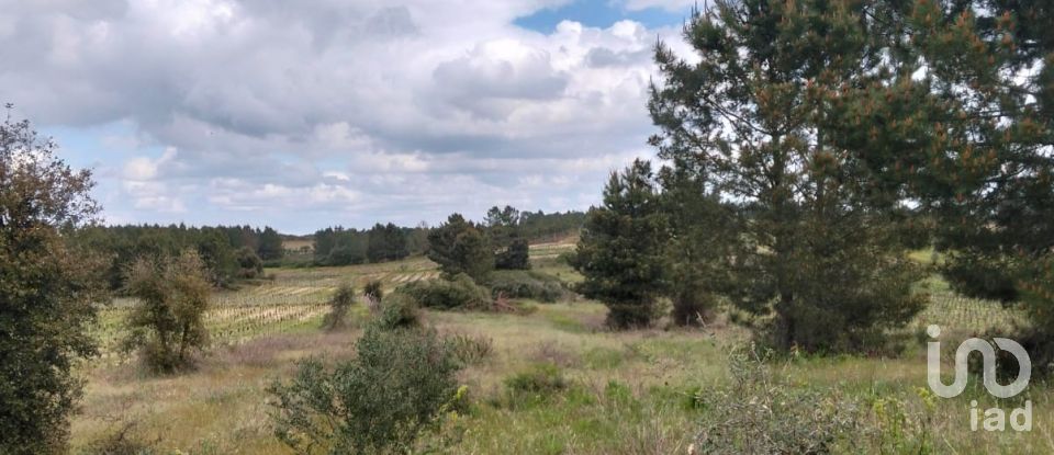 Terrain à Alpiarça de 12 400 m²