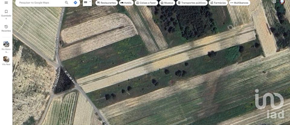 Terrain à Alpiarça de 12 400 m²